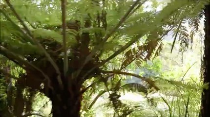 arkintheparkinternship-2-2