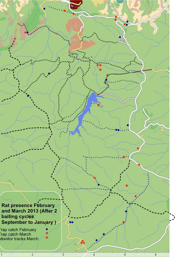 rat catch early 2013