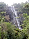 Waitakere falls